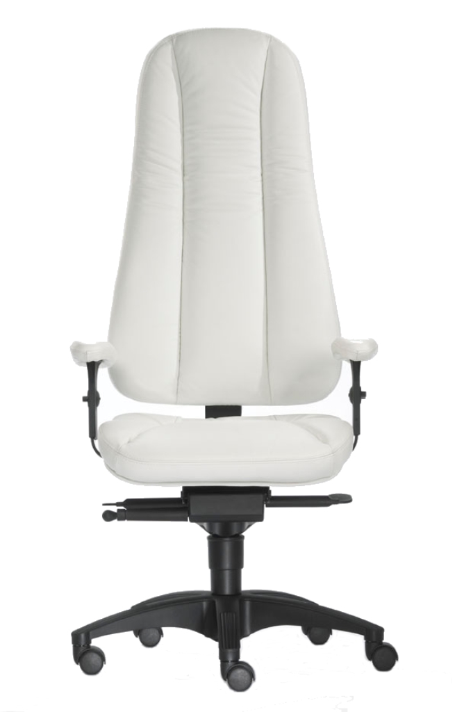 Dynamik Hochlehner - Home Office Chefsessel